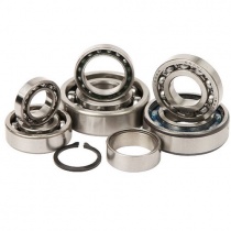 Ремкомплект КПП Hot Rods TBK0019