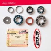 Ремкомплект КПП Hot Rods TBK0075