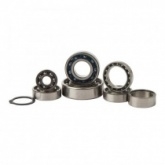 Ремкомплект КПП Hot Rods TBK0102