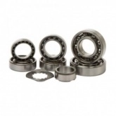 Ремкомплект КПП Hot Rods TBK0107