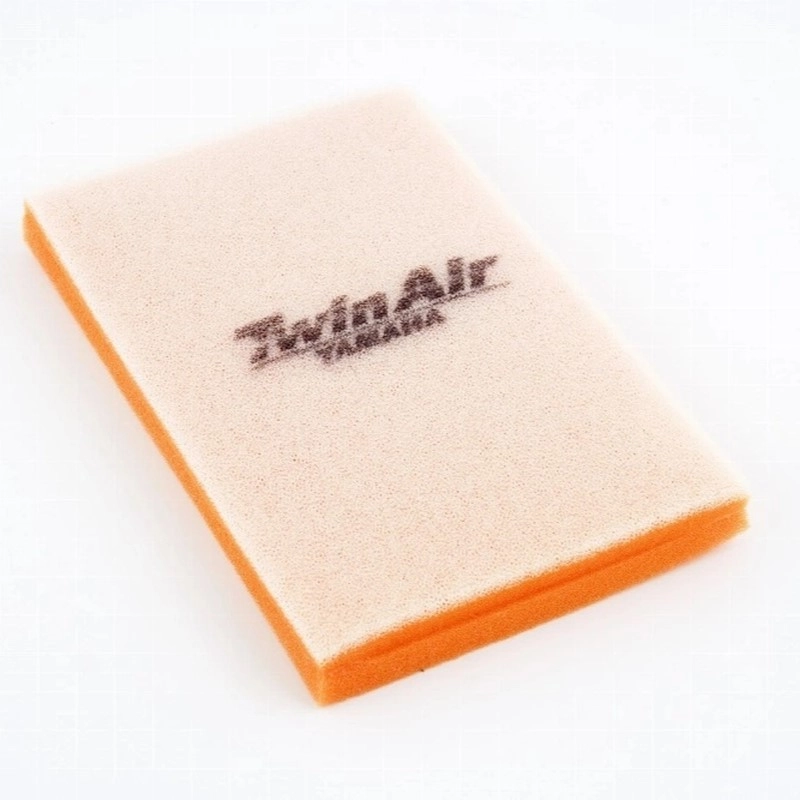 Фільтр повітряний Twin Air 152421