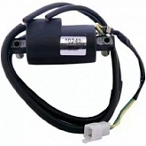 Катушка зажигания DZE 10249