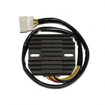 Регулятор напряжения Elektrosport ESR266