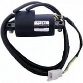 Катушка зажигания DZE 10249