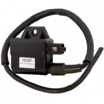 Катушка зажигания DZE 10257