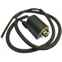 Катушка зажигания DZE 4060
