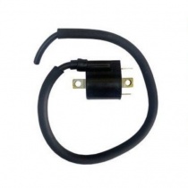 Катушка зажигания DZE 4109