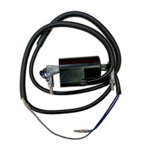 Катушка зажигания DZE 4110