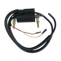 Катушка зажигания DZE 4112