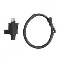 Катушка зажигания DZE 4019