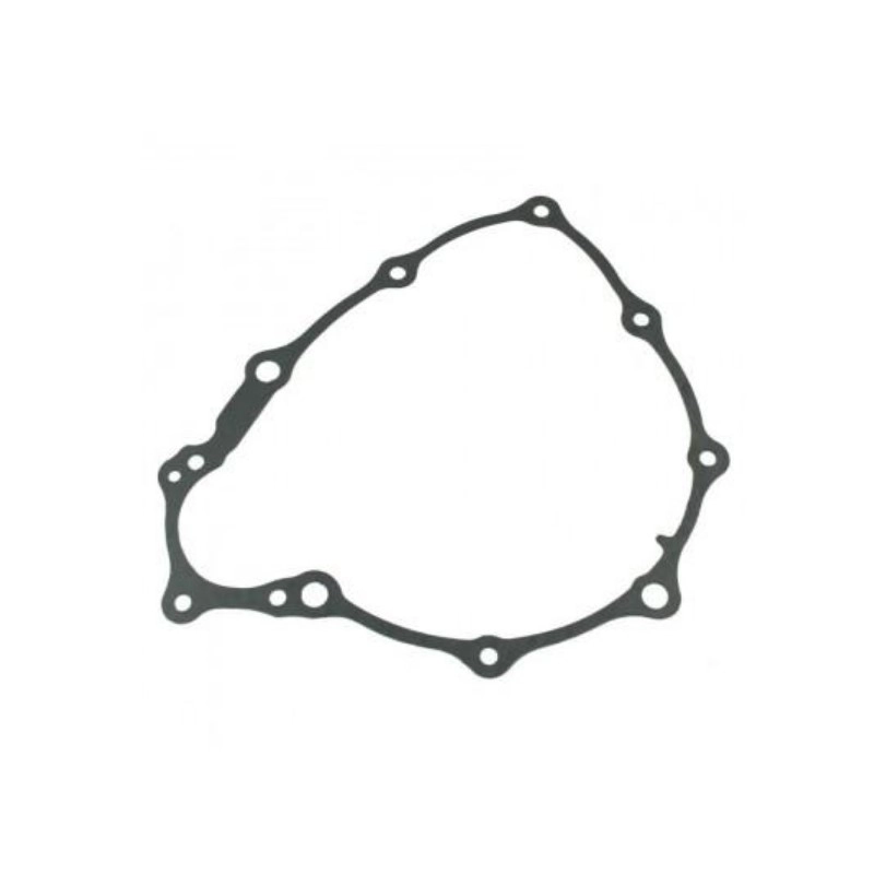 Прокладка кришки генератора Pro-x 19.G91496