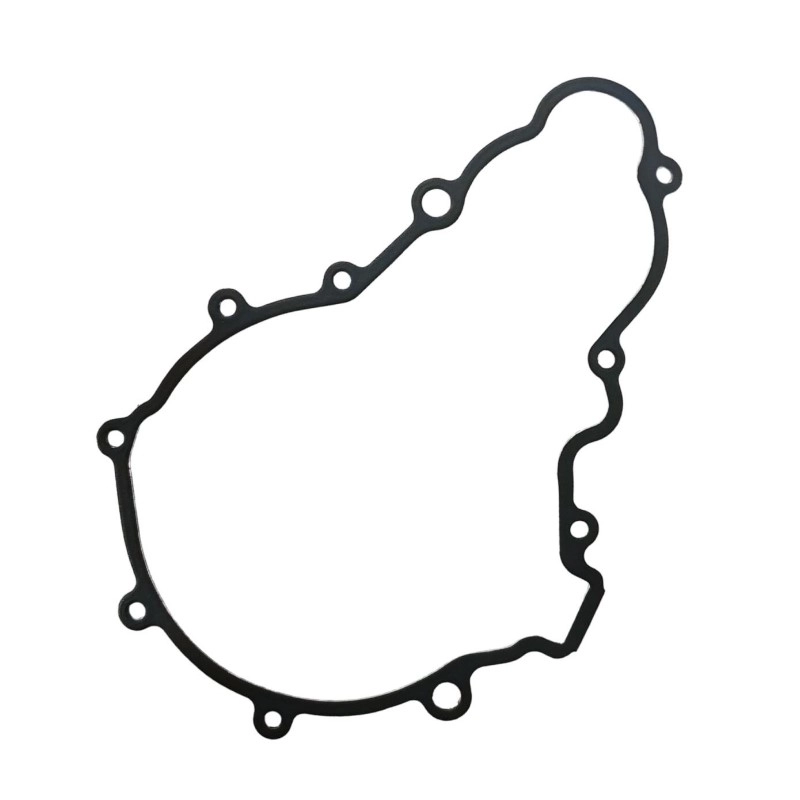 Прокладка кришки генератора  Pro-x 19.G93386
