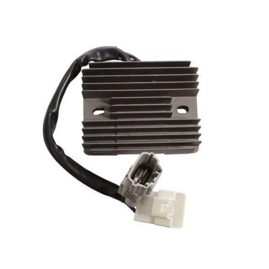 Регулятор напруги Elektrosport ESR859