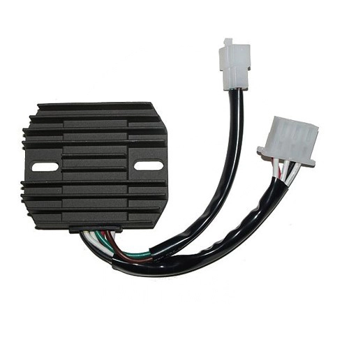Регулятор напруги Elektrosport ESR310