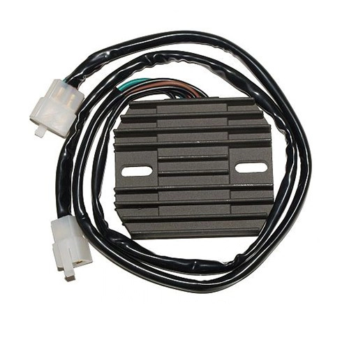 Регулятор напряжения Elektrosport ESR448