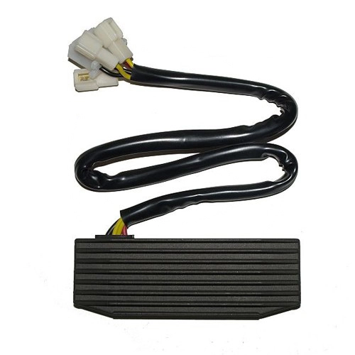 Регулятор напруги Elektrosport ESR752