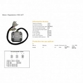 Регулятор напряжения DZE REG 2477