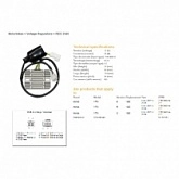 Регулятор напряжения DZE REG 2540