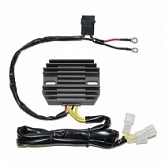 Регулятор напряжения Elektrosport ESR449