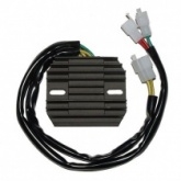 Регулятор напряжения Elektrosport ESR120