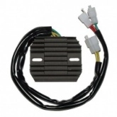 Регулятор напряжения Elektrosport ESR120