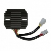 Регулятор напряжения Elektrosport ESR123