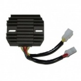 Регулятор напряжения Elektrosport ESR123