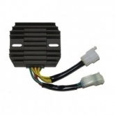 Регулятор напряжения Elektrosport ESR124
