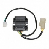 Регулятор напряжения Elektrosport ESR125