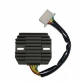 Регулятор напряжения Elektrosport ESR290