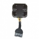 Регулятор напряжения Elektrosport ESR341
