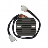 Регулятор напряжения Elektrosport ESR390