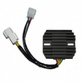 Регулятор напряжения Elektrosport ESR430
