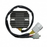 Регулятор напряжения Elektrosport ESR436
