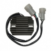 Регулятор напряжения Elektrosport ESR516