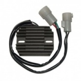 Регулятор напряжения Elektrosport ESR516