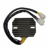 Регулятор напряжения Elektrosport ESR531