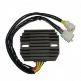 Регулятор напряжения Elektrosport ESR531