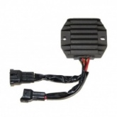 Регулятор напряжения Elektrosport ESR541