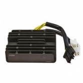Регулятор напряжения Elektrosport ESR549