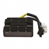 Регулятор напряжения Elektrosport ESR549