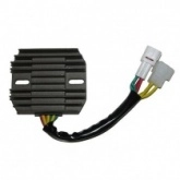 Регулятор напряжения Elektrosport ESR552
