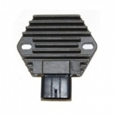 Регулятор напряжения Elektrosport ESR589