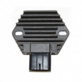 Регулятор напряжения Elektrosport ESR589
