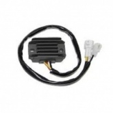 Регулятор напряжения Elektrosport ESR601