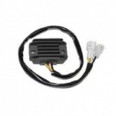 Регулятор напряжения Elektrosport ESR601