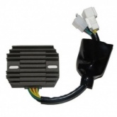 Регулятор напряжения Elektrosport ESR691