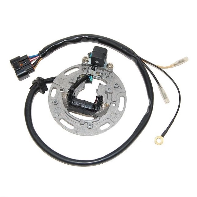 Статор генератора Elektrosport ESC1366