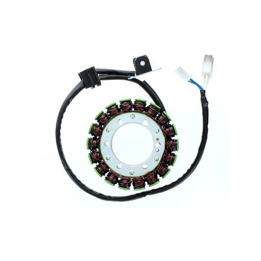 Статор генератора Elektrosport ESG075