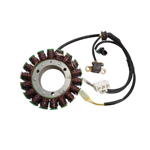 Статор генератора Elektrosport ESG1015